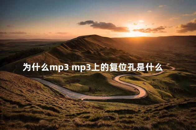 为什么mp3 mp3上的复位孔是什么